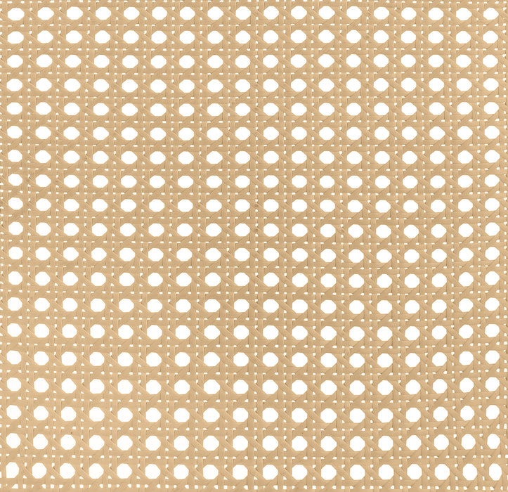 Lanewood Open Cane Webbing Metal Eastern King Bed White