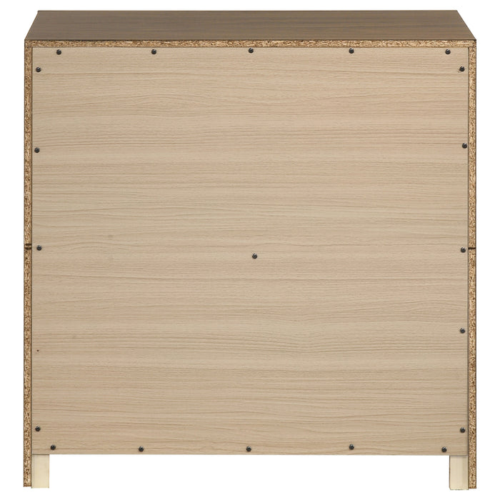 Etienne 2-drawer Nightstand Bedside Table Walnut
